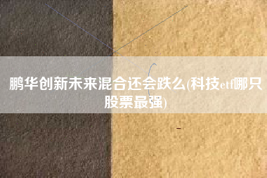 详细阅读:鹏华创新未来混合还会跌么(科技etf哪只股票最强) 鹏华创新未来混合还会跌么(科技etf哪只股票最强)