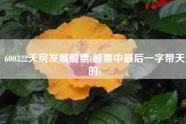详细阅读:600322天房发展股票(股票中最后一字带天的) 600322天房发展股票(股票中最后一字带天的)