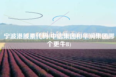 详细阅读:宁波港股票代码(中信集团和华润集团哪个更牛B) 宁波港股票代码(中信集团和华润集团哪个更牛B)