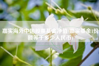 详细阅读:嘉实海外中国股票基金净值(嘉实基金1份额等于多少人民币) 嘉实海外中国股票基金净值(嘉实基金1份额等于多少人民币)