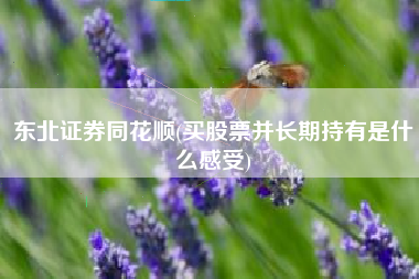 详细阅读:东北证券同花顺(买股票并长期持有是什么感受) 东北证券同花顺(买股票并长期持有是什么感受)