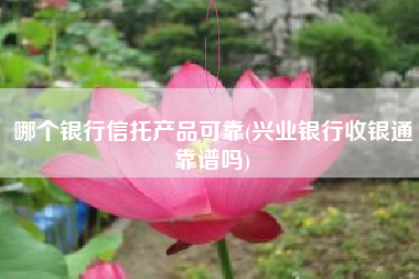 详细阅读:哪个银行信托产品可靠(兴业银行收银通靠谱吗) 哪个银行信托产品可靠(兴业银行收银通靠谱吗)