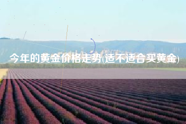详细阅读:今年的黄金价格走势(适不适合买黄金) 今年的黄金价格走势(适不适合买黄金)