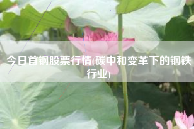 详细阅读:今日首钢股票行情(碳中和变革下的钢铁行业) 今日首钢股票行情(碳中和变革下的钢铁行业)