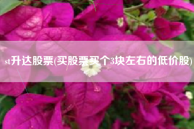 详细阅读:st升达股票(买股票买个3块左右的低价股) st升达股票(买股票买个3块左右的低价股)