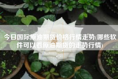 详细阅读:今日国际原油期货价格行情走势(哪些软件可以看原油期货的走势行情) 今日国际原油期货价格行情走势(哪些软件可以看原油期货的走势行情)