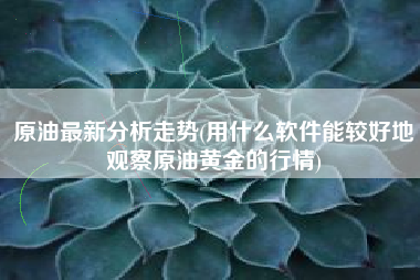 详细阅读:原油最新分析走势(用什么软件能较好地观察原油黄金的行情) 原油最新分析走势(用什么软件能较好地观察原油黄金的行情)