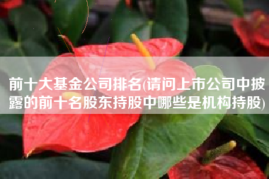 详细阅读:前十大基金公司排名(请问上市公司中披露的前十名股东持股中哪些是机构持股) 前十大基金公司排名(请问上市公司中披露的前十名股东持股中哪些是机构持股)
