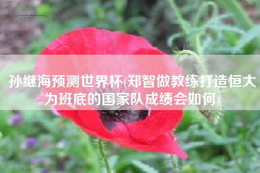 孙继海预测世界杯(郑智做教练打造恒大为班底的国家队成绩会如何)