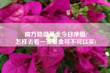 南方稳健基金今日净值(
怎样去看一支基金可不可以买)