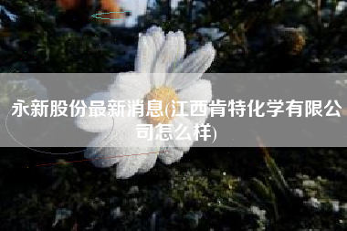 详细阅读:永新股份最新消息(江西肯特化学有限公司怎么样) 永新股份最新消息(江西肯特化学有限公司怎么样)