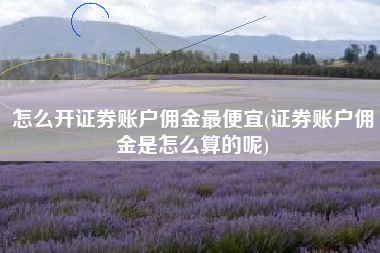 详细阅读:怎么开证券账户佣金最便宜(证券账户佣金是怎么算的呢) 怎么开证券账户佣金最便宜(证券账户佣金是怎么算的呢)