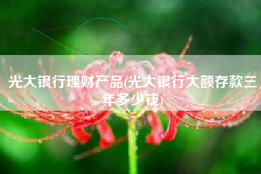 详细阅读:光大银行理财产品(光大银行大额存款三年多少钱) 光大银行理财产品(光大银行大额存款三年多少钱)