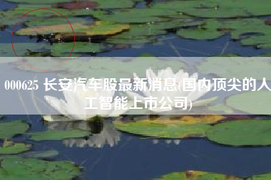 详细阅读:000625 长安汽车股最新消息(国内顶尖的人工智能上市公司) 000625 长安汽车股最新消息(国内顶尖的人工智能上市公司)