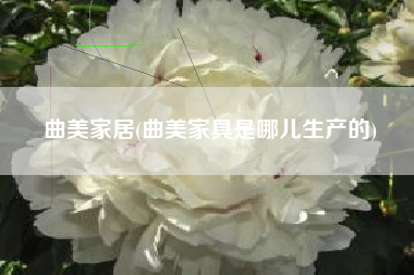 详细阅读:曲美家居(曲美家具是哪儿生产的) 曲美家居(曲美家具是哪儿生产的)