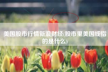 详细阅读:美国股市行情新浪财经(股市里美国线指的是什么) 美国股市行情新浪财经(股市里美国线指的是什么)