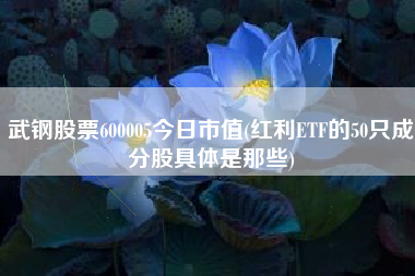 详细阅读:武钢股票600005今日市值(红利ETF的50只成分股具体是那些) 武钢股票600005今日市值(红利ETF的50只成分股具体是那些)