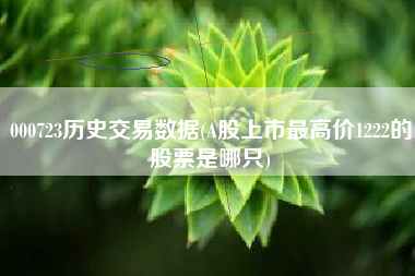 详细阅读:000723历史交易数据(A股上市最高价1222的股票是哪只) 000723历史交易数据(A股上市最高价1222的股票是哪只)