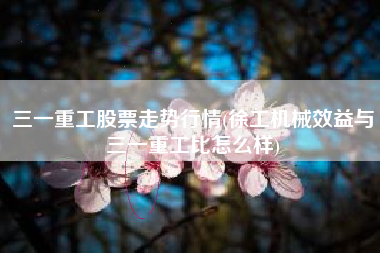 详细阅读:三一重工股票走势行情(徐工机械效益与三一重工比怎么样) 三一重工股票走势行情(徐工机械效益与三一重工比怎么样)