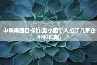 中集集团目标价(董小姐个人拉了几家企业投银隆)