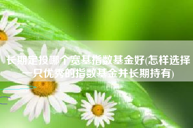 长期定投哪个宽基指数基金好(怎样选择一只优秀的指数基金并长期持有)