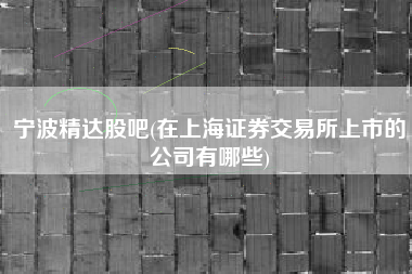 宁波精达股吧(在上海证券交易所上市的公司有哪些)