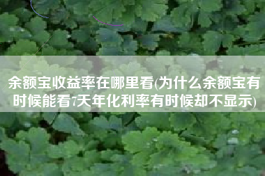 余额宝收益率在哪里看(为什么余额宝有时候能看7天年化利率有时候却不显示)