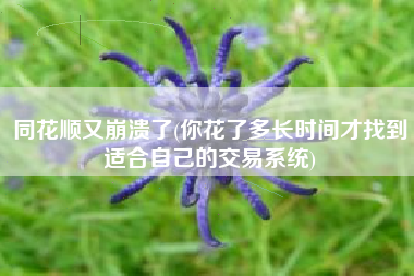 同花顺又崩溃了(你花了多长时间才找到适合自己的交易系统)