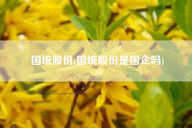 国统股份(国统股份是国企吗)