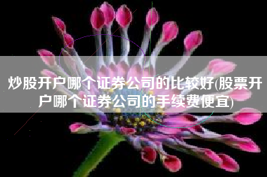 炒股开户哪个证券公司的比较好(股票开户哪个证券公司的手续费便宜)