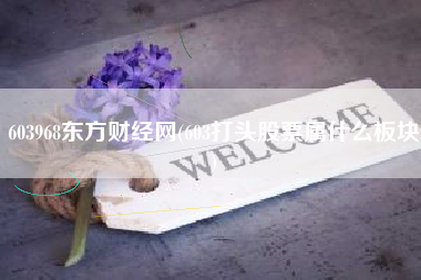 603968东方财经网(603打头股票属什么板块)