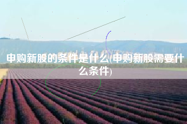 申购新股的条件是什么(申购新股需要什么条件)