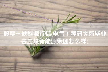 股票三峡能源行情(电气工程研究所毕业去三峡新能源集团怎么样)
