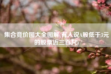 集合竞价图大全图解(有人说A股低于3元的股票近三百只)