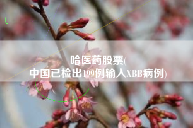 哈医药股票(
中国已检出199例输入XBB病例)