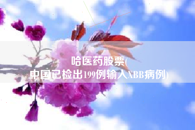 哈医药股票(
中国已检出199例输入XBB病例)