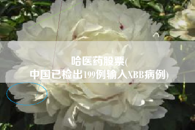 哈医药股票(
中国已检出199例输入XBB病例)
