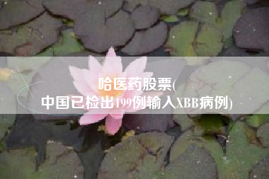 哈医药股票(
中国已检出199例输入XBB病例)