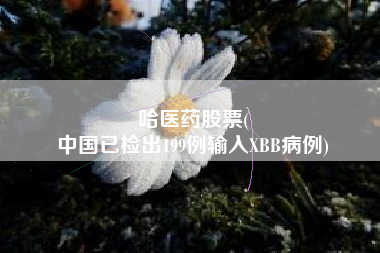 哈医药股票(
中国已检出199例输入XBB病例)