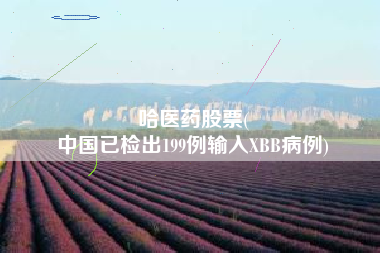 哈医药股票(
中国已检出199例输入XBB病例)