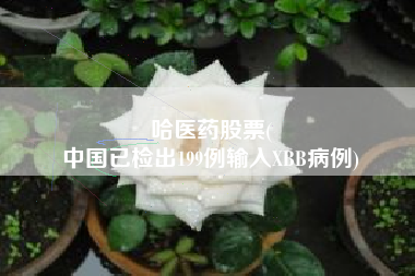 哈医药股票(
中国已检出199例输入XBB病例)