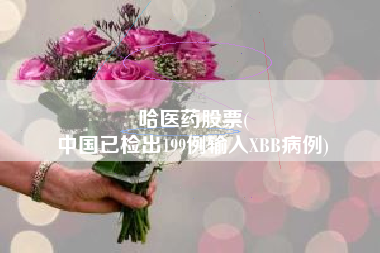 哈医药股票(
中国已检出199例输入XBB病例)
