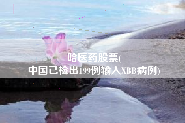 哈医药股票(
中国已检出199例输入XBB病例)
