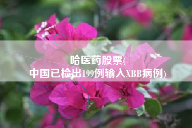 哈医药股票(
中国已检出199例输入XBB病例)