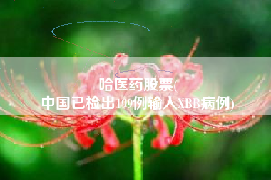 哈医药股票(
中国已检出199例输入XBB病例)
