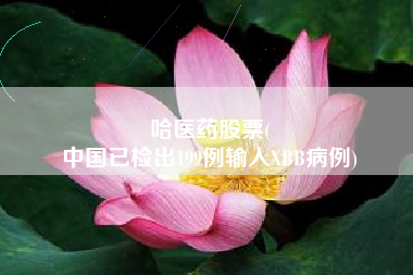 哈医药股票(
中国已检出199例输入XBB病例)