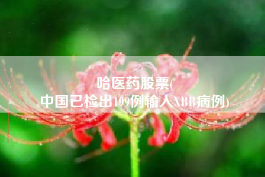哈医药股票(
中国已检出199例输入XBB病例)