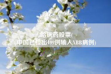 哈医药股票(
中国已检出199例输入XBB病例)