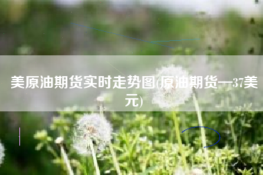 美原油期货实时走势图(原油期货—37美元)