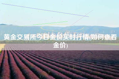 黄金交易所今日金价实时行情(如何查看金价)